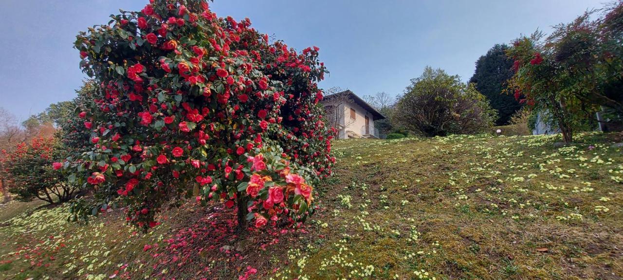 La Casa Delle Camelie Vila Stresa Exterior foto